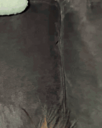 Person Sitting On Couch With Stuffed Animal GIF