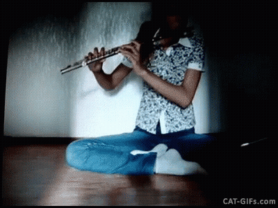 Person Sitting On Floor Playing Flute Cat-Gifs.com GIF