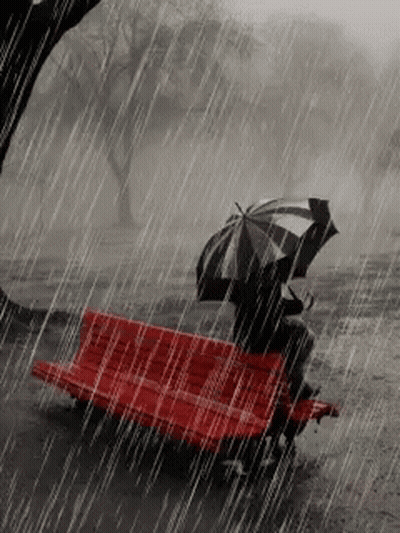 Person Sitting On Red Bench In Rain Holding Umbrella GIF
