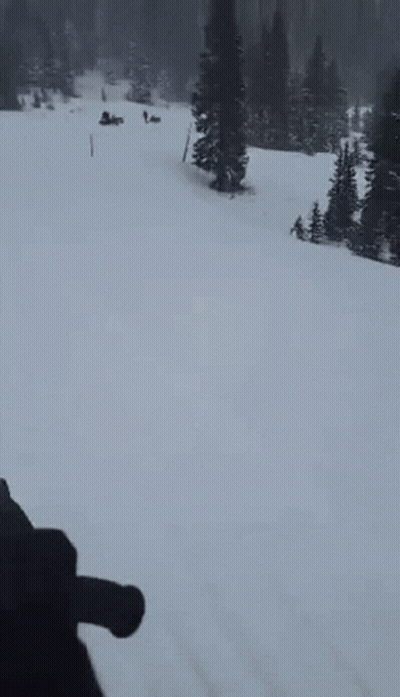 Person Skiing Down Snowy Mountain GIF