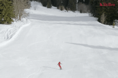 Person Skiing With Skibro GIF