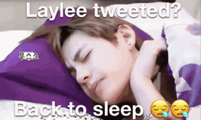 Person Sleeping Laylee Tweeted Back To Sleep GIF