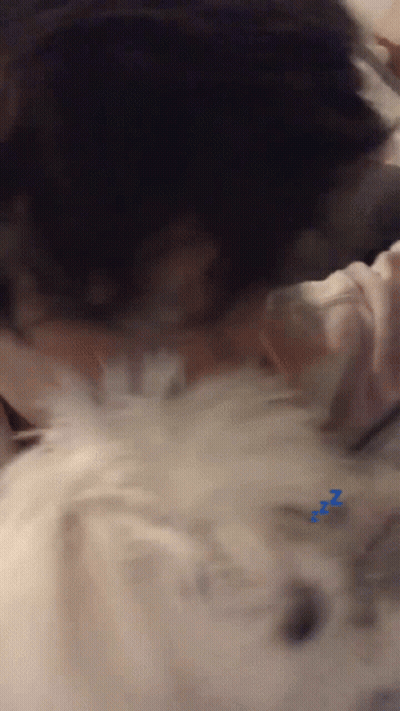 Person Sleeping On Bed With ZZZ GIF
