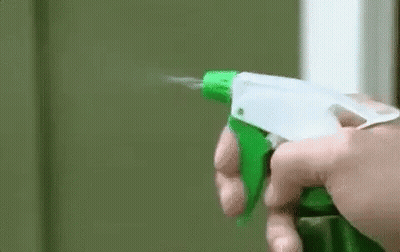 Person Spraying Green Wall GIF