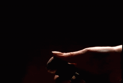 Person Spraying Perfume GIF