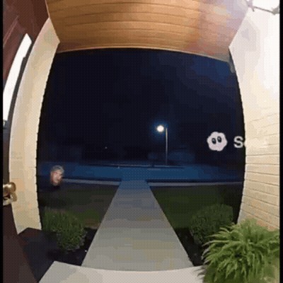 Person Standing At Doorbell At Night GIF
