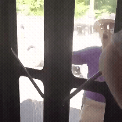 Person Standing Behind Fence With Purple Shirt GIF