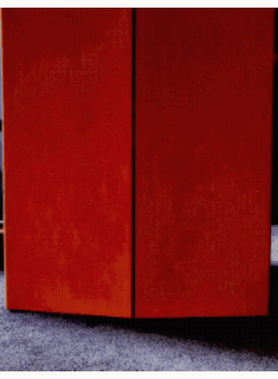 Person Standing Behind Red Door GIF