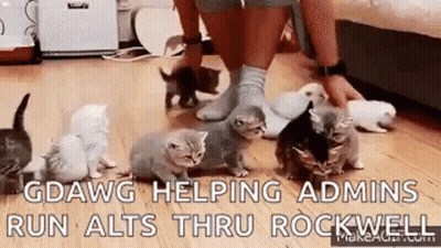 Person Standing Beside Kittens GIF