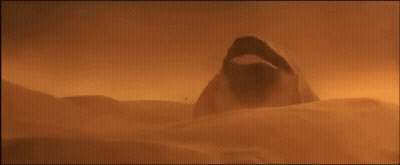 Person Standing In Desert With Open Mouth GIF