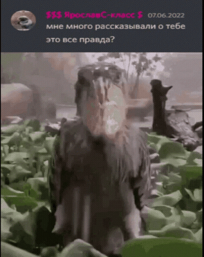 Person Standing In Field 07.06.2022 GIF