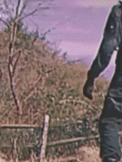 Person Standing In Field With Fence GIF
