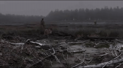 Person Standing in Field With Trees