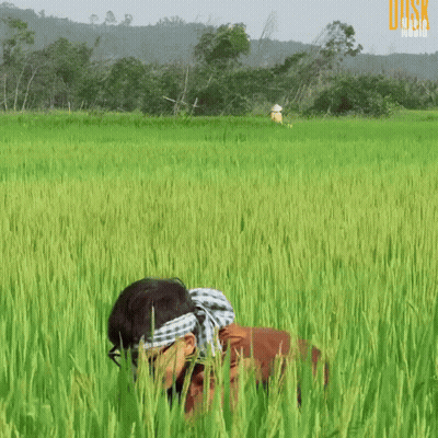 Person Standing In Field With Word Disk GIF