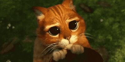 Person Standing In Front Of Camouflage Blanket GIF