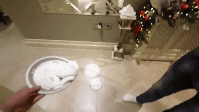 Person Standing In Front Of Christmas Tree And Plate Of Food GIF