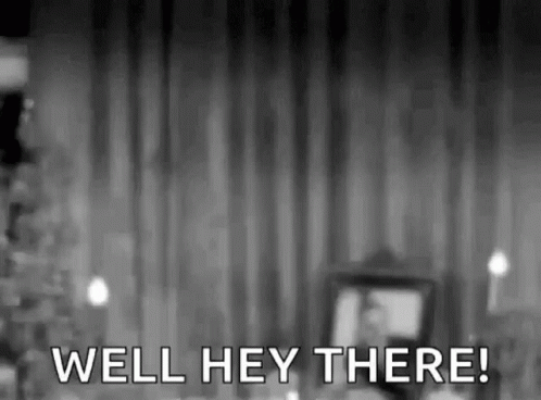 Person Standing In Front Of Curtain Saying Well Hey There GIF