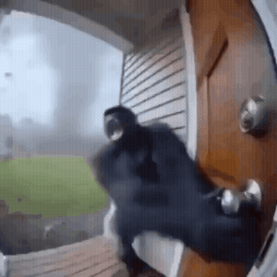 Person Standing In Front Of Door With Storm GIF