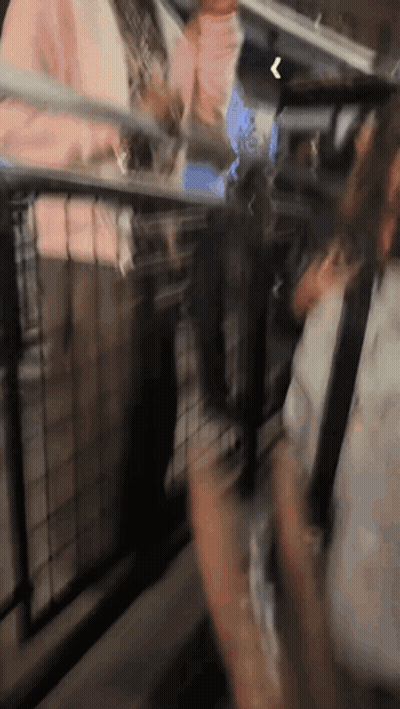 Person Standing In Front Of Fence GIF