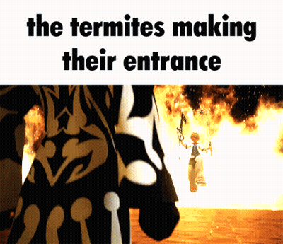 Person Standing In Front Of Fire GIF