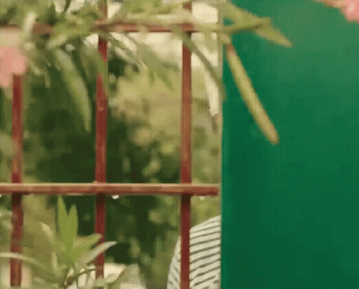 Person Standing In Front Of Green And Red Fence GIF