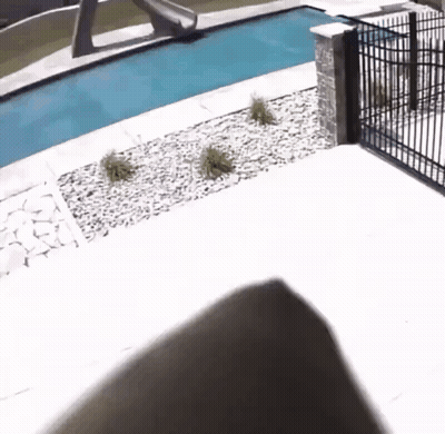 Person Standing In Front Of Pool With Slide GIF