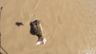 Person Standing In Muddy Area GIF