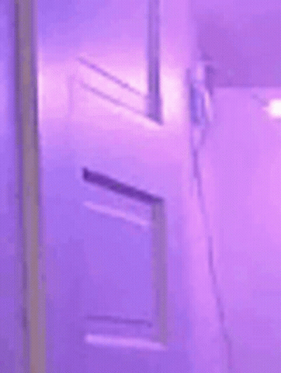 Person Standing In Purple Room With Purple Door GIF