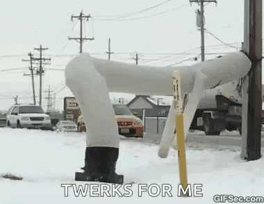 Person Standing In Snow With Twerks For Me Sign GIF