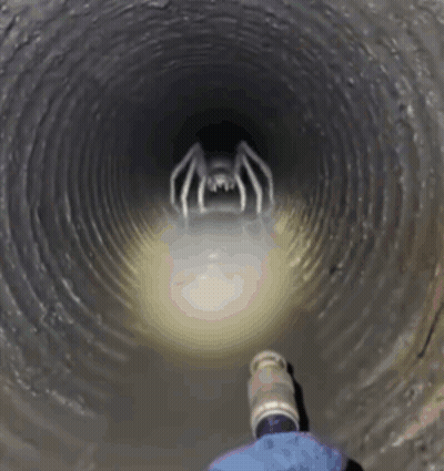 Person Standing In Tunnel With Spider GIF