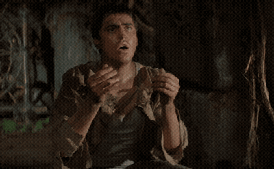 Person Standing Next To Dog On Hind Legs GIF