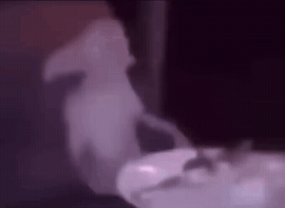Person Standing Next To Food Bowl GIF