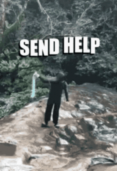 Person Standing On Rock Saying Send Help GIF