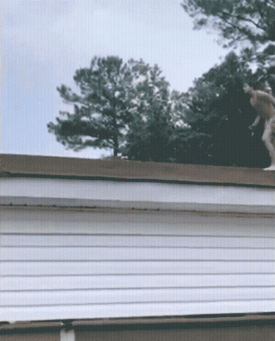 Person Standing On Roof Of House GIF
