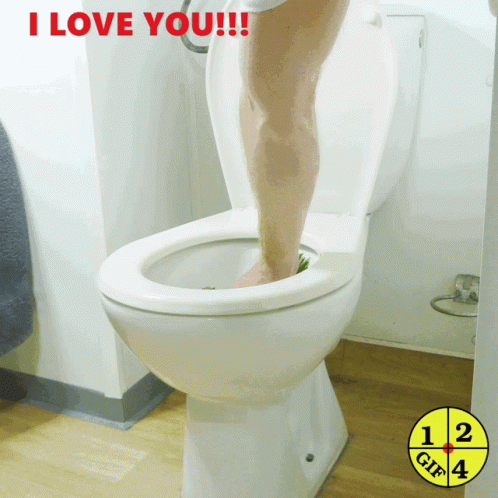 Person Standing On Toilet Saying I Love You GIF