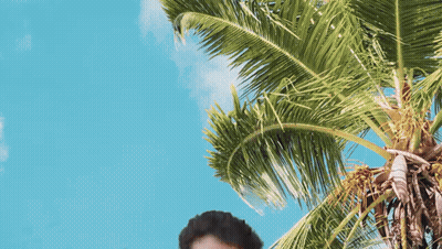 Person Standing Under Palm Tree GIF