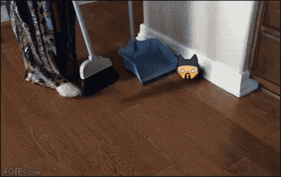 Person Sweeping Floor With Broom And Scoop GIF