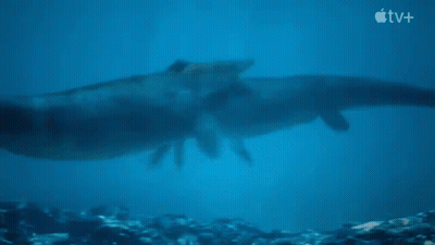 Person Swimming In Ocean With Apple TV+ Logo GIF