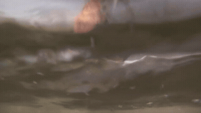 Person Swimming In Ocean With Head Above Water GIF