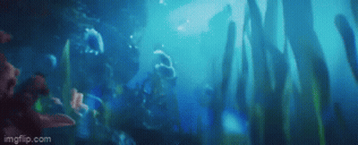 Person Swimming In Ocean With Seaweed And Fish GIF