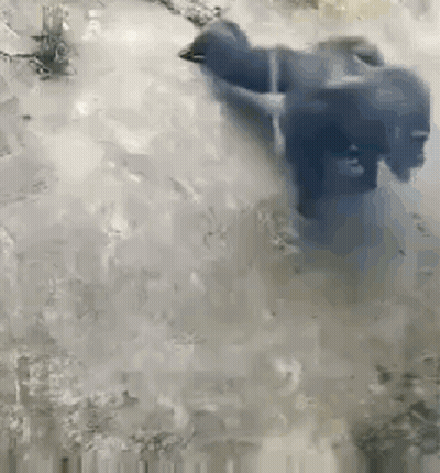 Person Swimming In Pool GIF