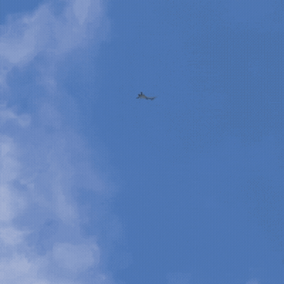 Person Swimming Underwater With Trees GIF