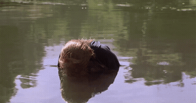 Person Swimming With Head Underwater GIF