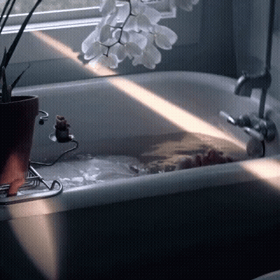Person Taking Bath In Bathtub With Potted Plant GIF