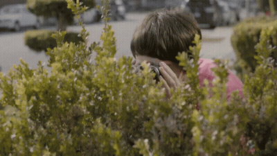 Person Taking Photo Behind Bushes GIF