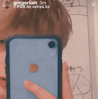 Person Taking Selfie With Phone Gregoriah GIF