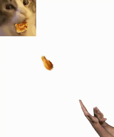 Person Throwing Fried Chicken Into Air GIF