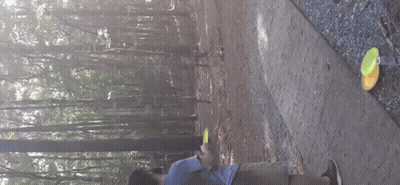 Person Throwing Frisbee On Dirt Path In Woods GIF