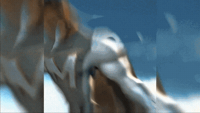 Person Torso With Blue Sky GIF