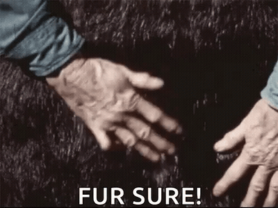 Person Touching Fur Rug GIF